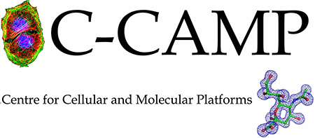 C-Camp logo